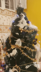 Arbre de noël en filet d'olives